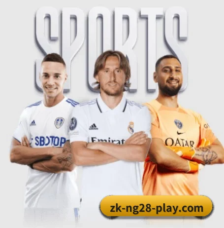 南宫体育 APP | NG28