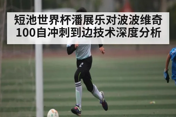 短池世界杯潘展乐对波波维奇100自冲刺到边技术深度分析 | NG28