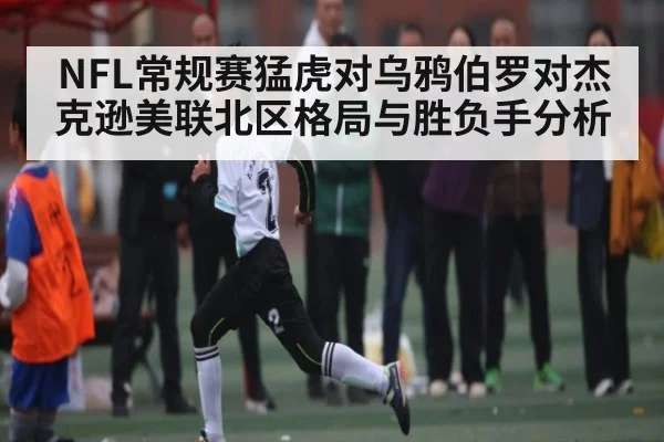 NFL常规赛猛虎对乌鸦伯罗对杰克逊美联北区格局与胜负手分析 | NG28